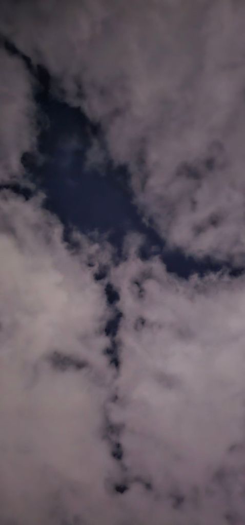 20260120_18575761105551956684061