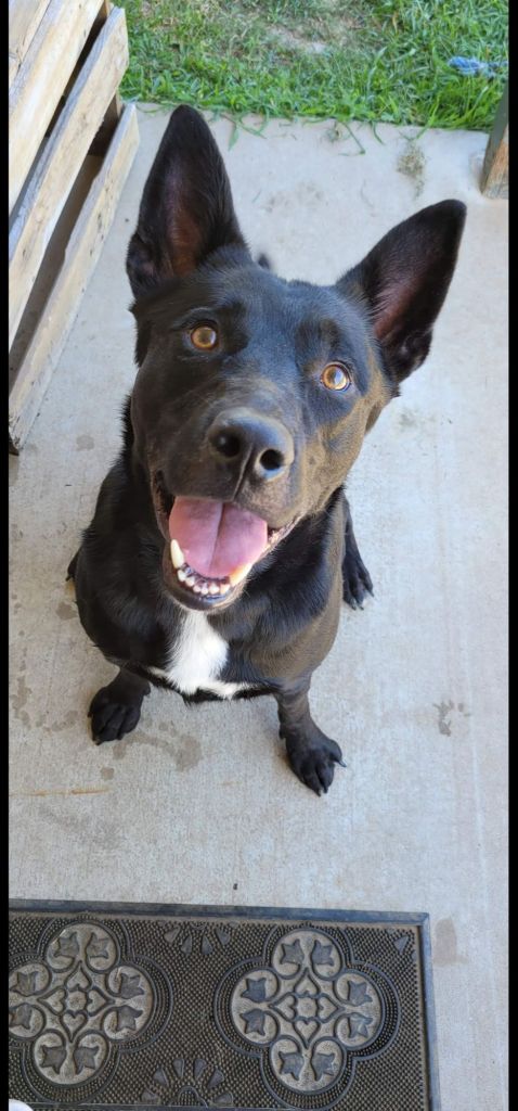 screenshot_20260211_091338_photos4634470891470147643