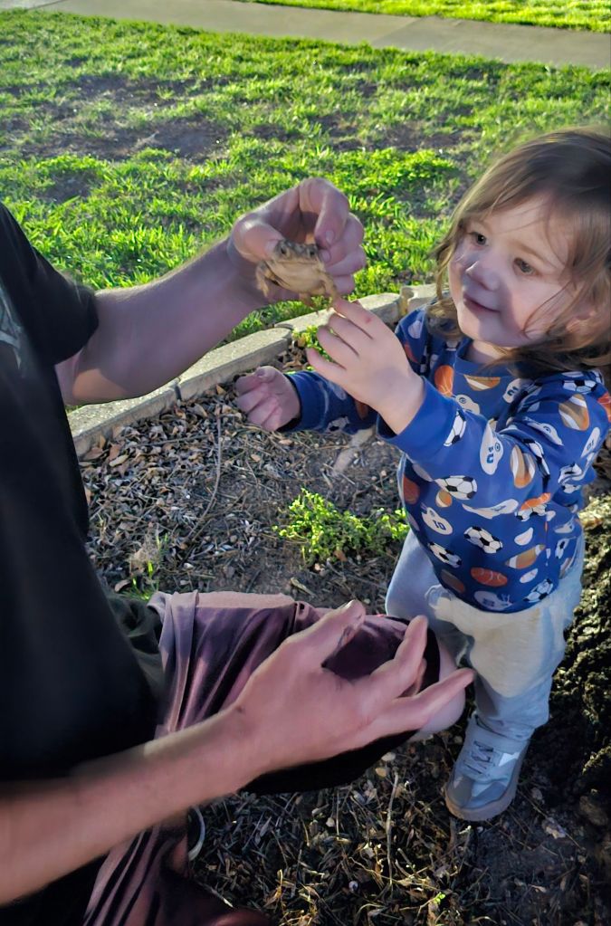 20260314_2001538441192654390731301